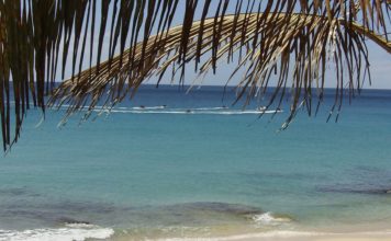 Le perle delle Canarie le spiagge Fuerteventura