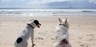 dove andare in vacanza