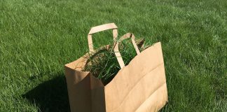 Che cosa si intende per packaging green packaging green