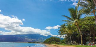 cose da fare alle hawaii
