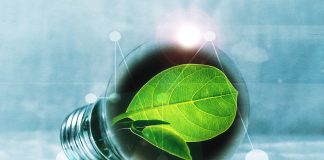 Cosa sono e come funzionano le offerte energia verde energia verde